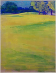 Wiesenlandschaft vor Bäumen und Dorf